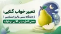 تعبیر خواب گلابی: از دیدگاه سنتی تا روانشناسی | معنی کامل دیدن گلابی در خواب