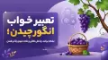 تعبیر خواب انگور چیدن؛ نشانه برکت، پاداش تلاش و نکات مهم رنگ و فصل