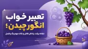 تعبیر خواب انگور چیدن؛ نشانه برکت، پاداش تلاش و نکات مهم رنگ و فصل