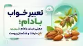 تعبیر خواب بادام؛ معنی دیدن بادام شیرین، تلخ، درخت و شکستن پوست