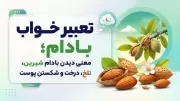 تعبیر خواب بادام؛ معنی دیدن بادام شیرین، تلخ، درخت و شکستن پوست