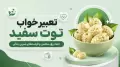 تعبیر خواب توت سفید | نماد رزق، سلامتی و فرصت‌های شیرین زندگی