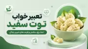 تعبیر خواب توت سفید | نماد رزق، سلامتی و فرصت‌های شیرین زندگی