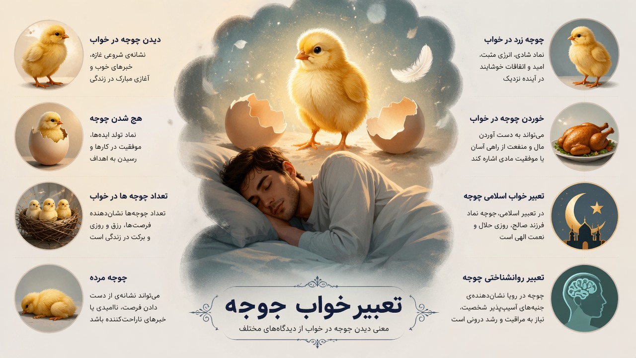 تعبیر خواب جوجه, دیدن جوجه در خواب, معنی جوجه در رویا, جوجه زرد در خواب, هچ شدن جوجه, خوردن جوجه در خواب, جوجه مرده, تعداد جوجه ها در خواب, تعبیر خواب اسلامی جوجه, تعبیر روانشناختی جوجه, 