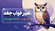 تعبیر خواب جغد | از دشمنی و خبر بد تا حکمت و فرزانگی