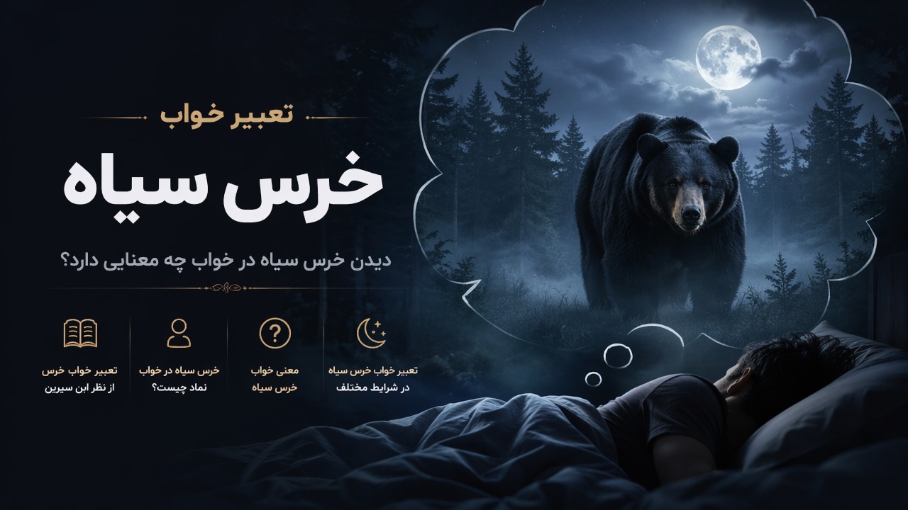 تعبیر خواب خرس سیاه, دیدن خرس سیاه در خواب, تعبیر خواب خرس از نظر ابن سیرین, خرس سیاه در خواب نماد چیست, معنی خواب خرس سیاه, 