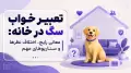 تعبیر خواب سگ در خانه: معانی رایج، اختلاف نظرها و سناریوهای مهم