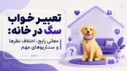 تعبیر خواب سگ در خانه: معانی رایج، اختلاف نظرها و سناریوهای مهم