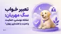 تعبیر خواب سگ مهربان: نشانه دوستی، حمایت و امنیت یا هشداری پنهان؟