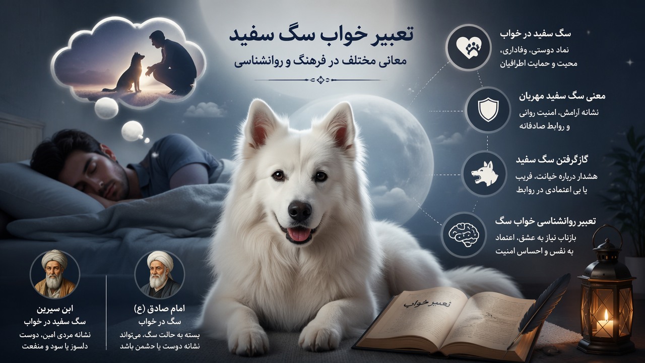 تعبیر خواب سگ سفید, سگ سفید در خواب, تعبیر سگ در خواب, معنی سگ سفید مهربان, گاز گرفتن سگ سفید, تعبیر روانشناسی خواب سگ, ابن سیرین سگ سفید, امام صادق سگ در خواب,