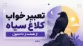 تعبیر خواب کلاغ سیاه؛ از هشدار تا تحول