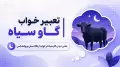تعبیر خواب گاو سیاه | معنی دیدن گاو سیاه در خواب از نگاه سنتی و روانشناسی
