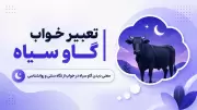 تعبیر خواب گاو سیاه | معنی دیدن گاو سیاه در خواب از نگاه سنتی و روانشناسی