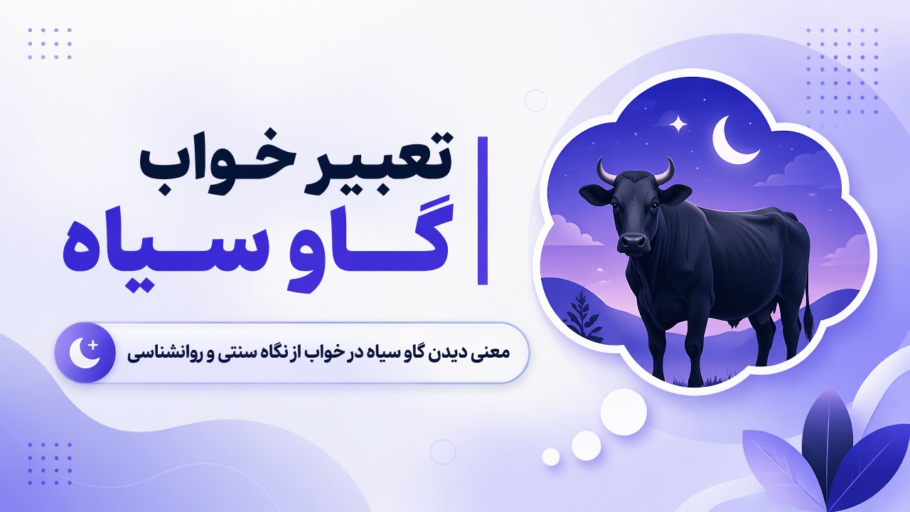 تعبیر خواب گاو سیاه | معنی دیدن گاو سیاه در خواب از نگاه سنتی و روانشناسی