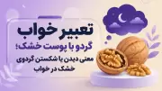 تعبیر خواب گردو با پوست خشک؛ معنی دیدن یا شکستن گردوی خشک در خواب
