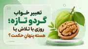 تعبیر خواب گردو تازه؛ روزی با تلاش یا هسته پنهانِ حکمت؟