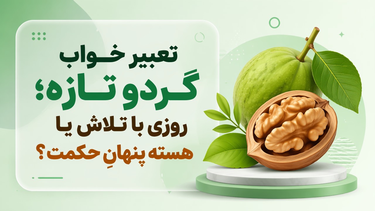 تعبیر خواب گردو تازه؛ روزی با تلاش یا هسته پنهانِ حکمت؟
