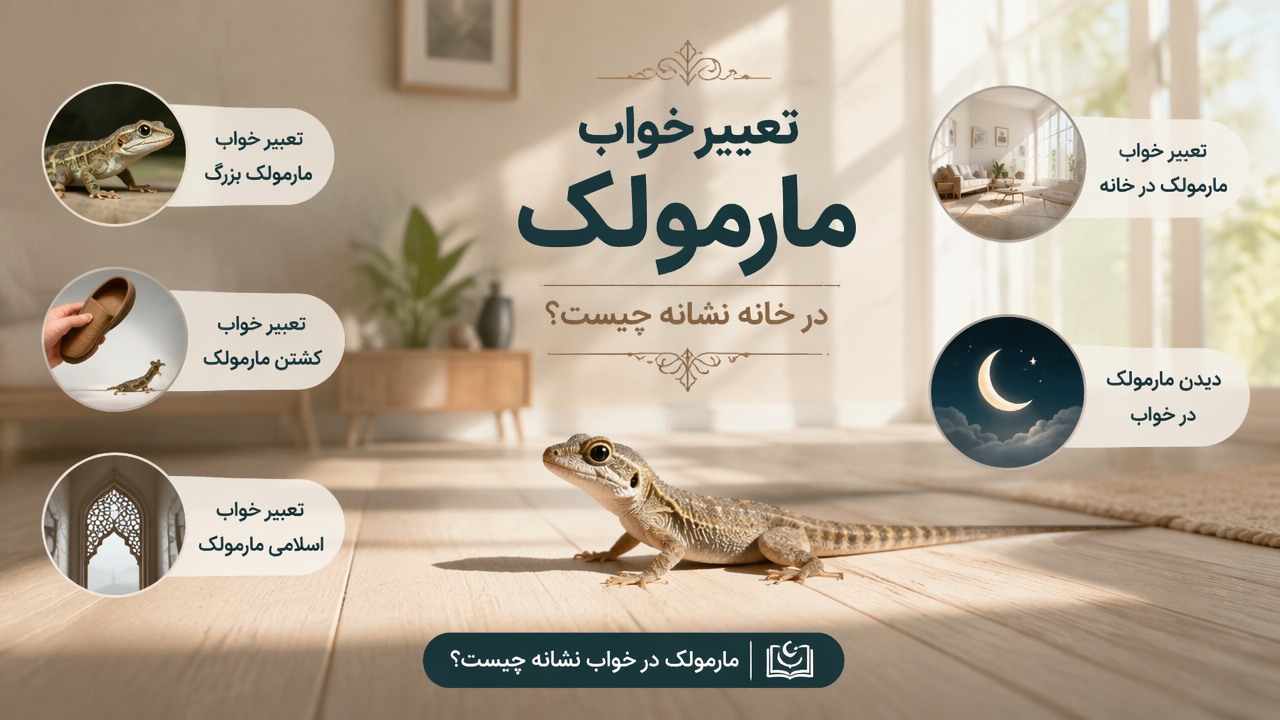 تعبیر خواب مارمولک در خانه, تعبیر خواب مارمولک, تعبیر خواب مارمولک بزرگ, تعبیر خواب کشتن مارمولک, خواب مارمولک, دیدن مارمولک در خواب, تعبیر خواب اسلامی مارمولک, مارمولک در خواب نشانه چیست,
