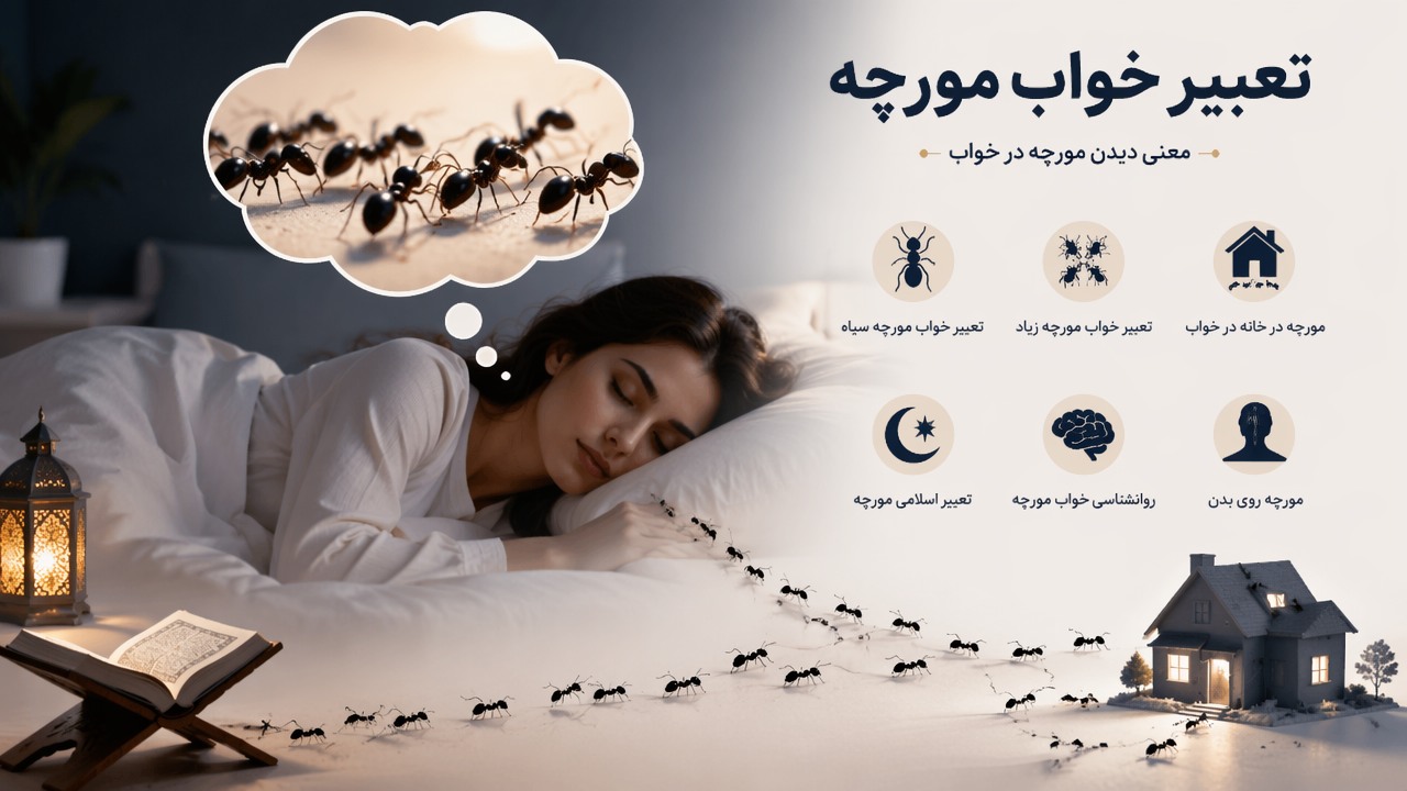 تعبیر خواب مورچه, تعبیر خواب مورچه زیاد, معنی دیدن مورچه در خواب, مورچه در خانه در خواب, مورچه روی بدن, تعبیر خواب مورچه سیاه, روانشناسی خواب مورچه, تعبیر اسلامی مورچه,