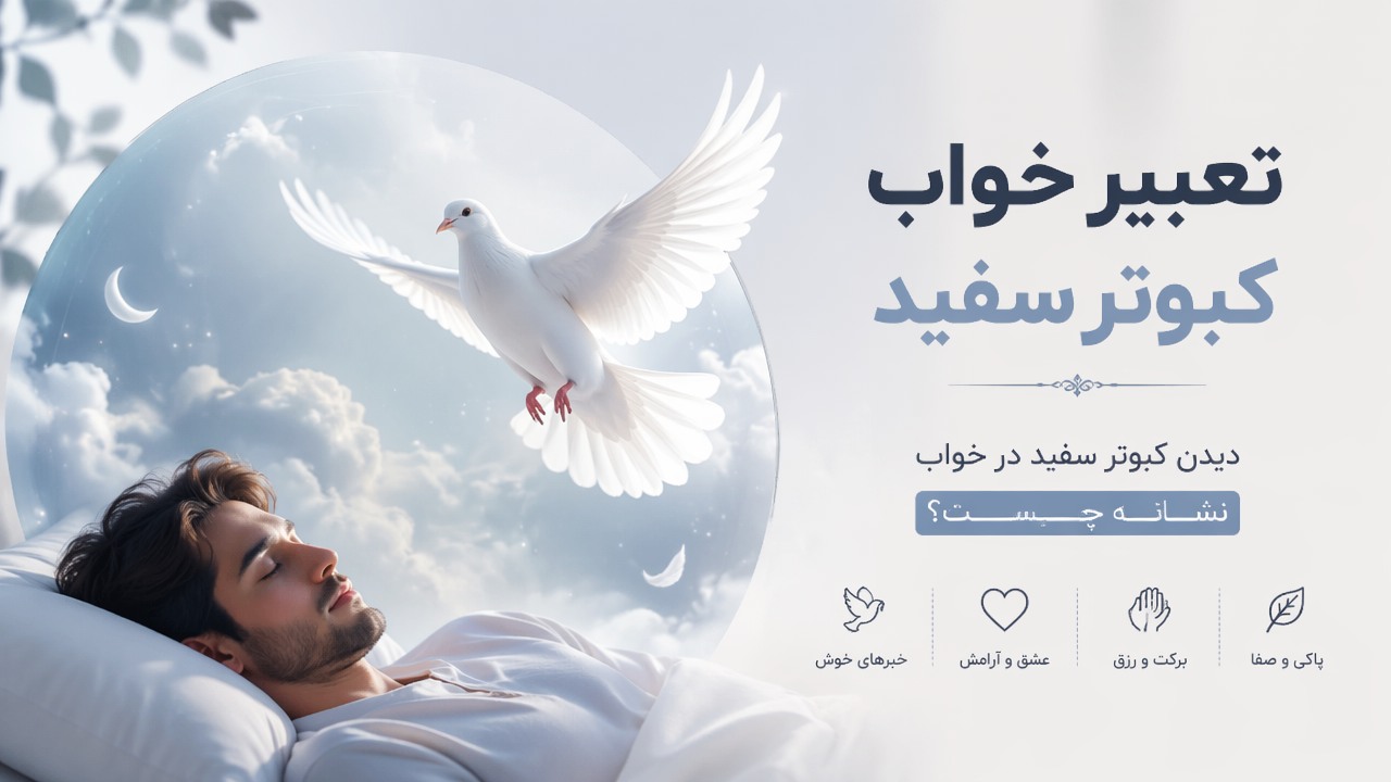 تعبیر خواب کبوتر سفید, خواب کبوتر سفید, دیدن کبوتر سفید در خواب, تعبیر خواب کبوتر, کبوتر سفید در خواب نشانه چیست,