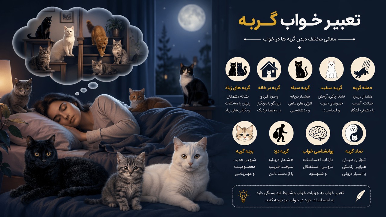 تعبیر خواب گربه های زیاد, تعبیر خواب گربه در خانه, گربه سیاه در خواب, گربه سفید در خواب, حمله گربه در خواب, بچه گربه در خواب, معنای دیدن گربه های زیاد, تعبیر خواب گربه دزد, روانشناسی خواب گربه, نماد گربه در خواب,