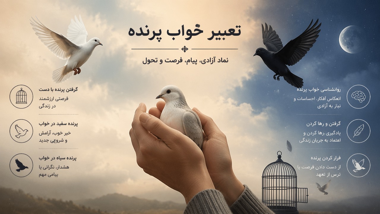 تعبیر خواب گرفتن پرنده با دست, تعبیر خواب پرنده, گرفتن پرنده در خواب, تعبیر خواب گرفتن کبوتر, پرنده سفید در خواب, پرنده سیاه در خواب, روانشناسی خواب پرنده, نماد پرنده در خواب, گرفتن پرنده و رها کردن, فرار کردن پرنده در خواب, 