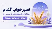 تعبیر خواب گندم و ارتباط آن با رویای حضرت یوسف (ع) | نشانه رزق، برکت و هشدار
