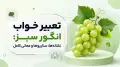 تعبیر خواب انگور سبز: نشانه‌ها، سناریوها و معانی کامل