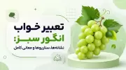 تعبیر خواب انگور سبز: نشانه‌ها، سناریوها و معانی کامل