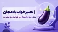 تعبیر خواب بادمجان | معنی دیدن بادمجان در خواب از دید معبران