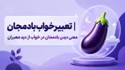 تعبیر خواب بادمجان | معنی دیدن بادمجان در خواب از دید معبران