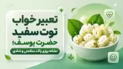تعبیر خواب توت سفید حضرت یوسف؛ نشانه روزی پاک، سلامتی و شادی