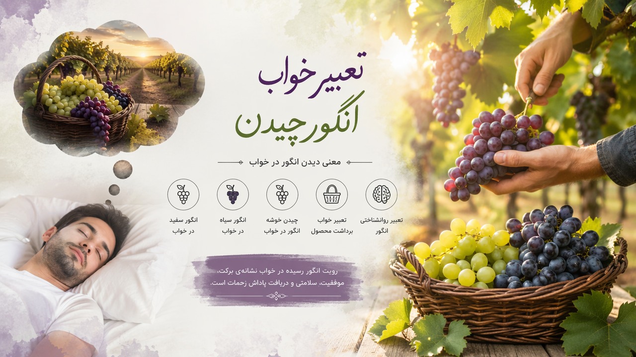 تعبیر خواب انگور چیدن, تعبیر خواب انگور, چیدن انگور در خواب, معنی انگور در خواب, رویت انگور رسیده, انگور سفید در خواب, انگور سیاه در خواب, تعبیر روانشناختی انگور, خواب چیدن خوشه انگور, تعبیر خواب برداشت محصول,