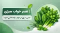 تعبیر خواب سبزی | دیدن سبزی در خواب چه معنایی دارد؟