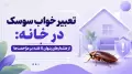 تعبیر خواب سوسک در خانه: از هشدارهای پنهان تا غلبه بر مزاحمت‌ها