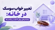 تعبیر خواب سوسک در خانه: از هشدارهای پنهان تا غلبه بر مزاحمت‌ها