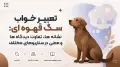 تعبیر خواب سگ قهوه ای: نشانه ها، تفاوت دیدگاه ها و معنی در سناریوهای مختلف