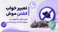 تعبیر خواب کشتن موش | معنی کامل و دقیق از دید معبران کلاسیک و روانشناسی