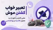 تعبیر خواب کشتن موش | معنی کامل و دقیق از دید معبران کلاسیک و روانشناسی