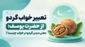 تعبیر خواب گردو از حضرت یوسف؛ معنی دیدن گردو در خواب چیست؟