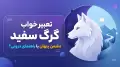 تعبیر خواب گرگ سفید؛ دشمن پنهان یا راهنمای درونی؟