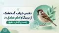تعبیر خواب گنجشک از دیدگاه امام صادق (ع) راهنمای کامل و دقیق