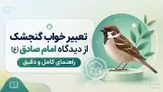 تعبیر خواب گنجشک از دیدگاه امام صادق (ع) راهنمای کامل و دقیق