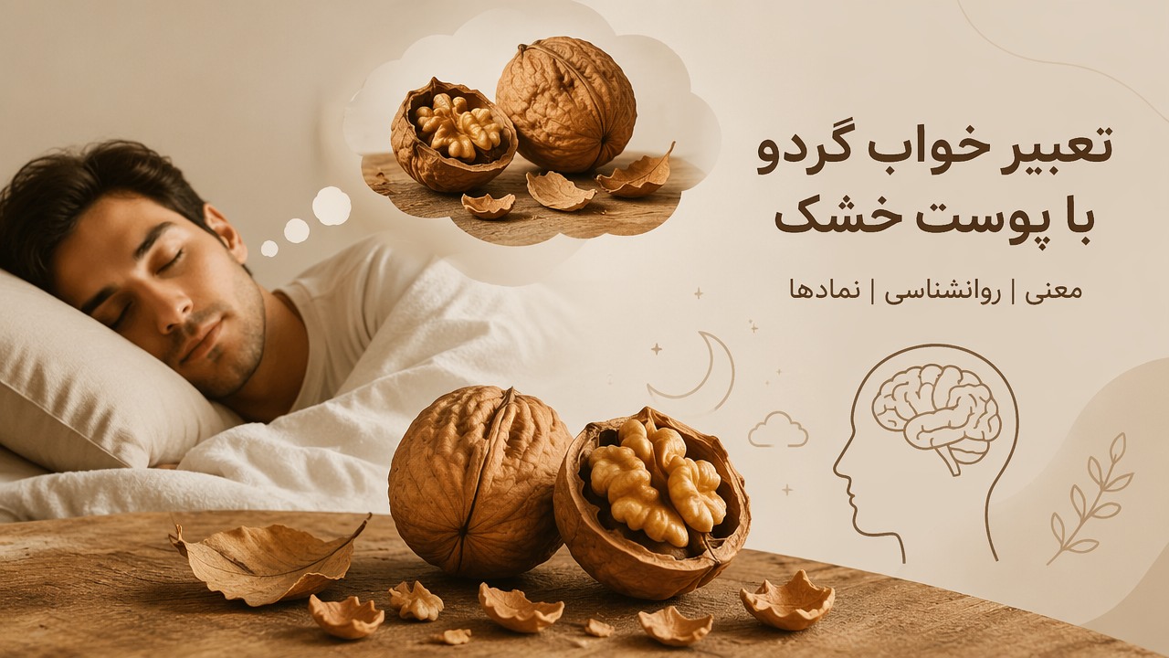 تعبیر خواب گردو با پوست خشک, تعبیر خواب گردو, شکستن گردو در خواب, معنی گردو در خواب, گردوی خشک در رویا, پوست خشک گردو در خواب, روانشناسی خواب گردو, 