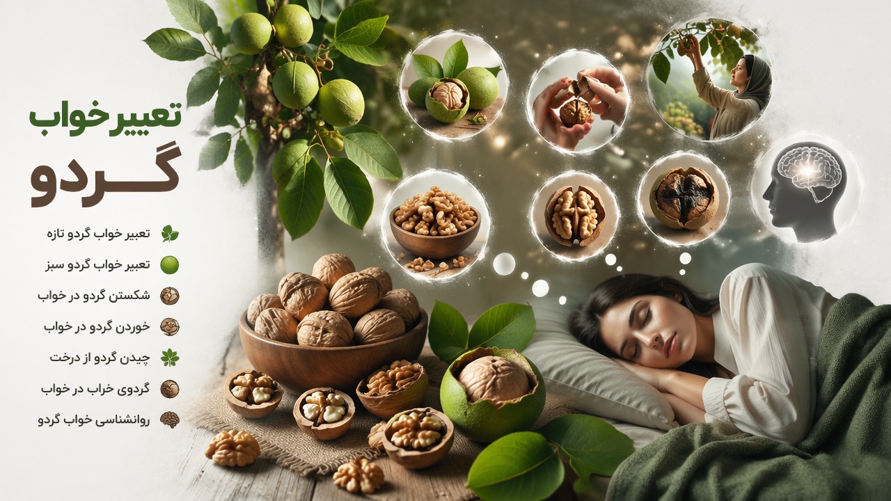 تعبیر خواب گردو تازه, تعبیر خواب گردو سبز, معنی خواب گردو, شکستن گردو در خواب, خوردن گردو در خواب, چیدن گردو از درخت, گردوی خراب در خواب, روانشناسی خواب گردو,