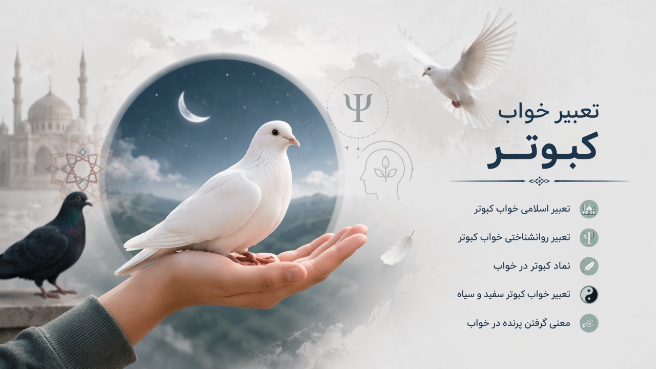 تعبیر خواب گرفتن کبوتر در دست, تعبیر خواب کبوتر, کبوتر سفید در خواب, معنی گرفتن پرنده در خواب, تعبیر خواب کبوتر سیاه, نماد کبوتر در خواب, تعبیر روانشناختی خواب کبوتر, تعبیر اسلامی خواب کبوتر,