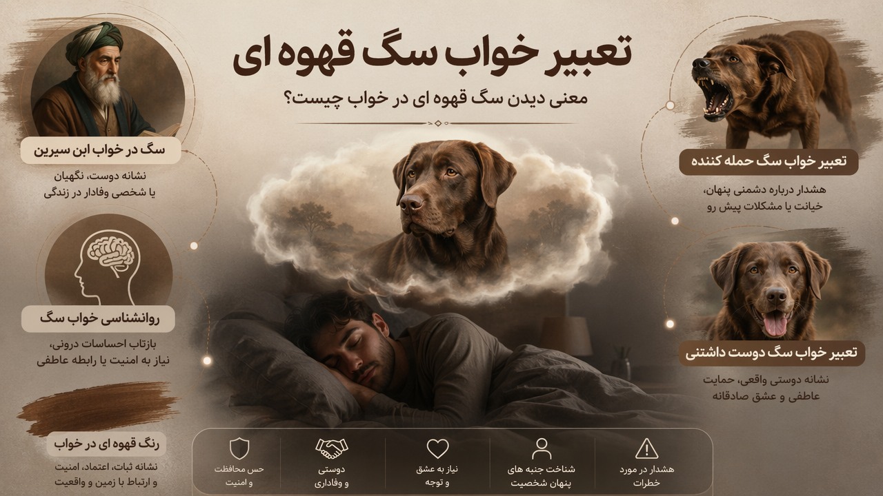تعبیر خواب سگ قهوه ای, خواب سگ قهوه ای, معنی سگ قهوه ای در خواب, سگ در خواب ابن سیرین, روانشناسی خواب سگ, تعبیر خواب سگ حمله کننده, تعبیر خواب سگ دوست داشتنی, رنگ قهوه ای در خواب,