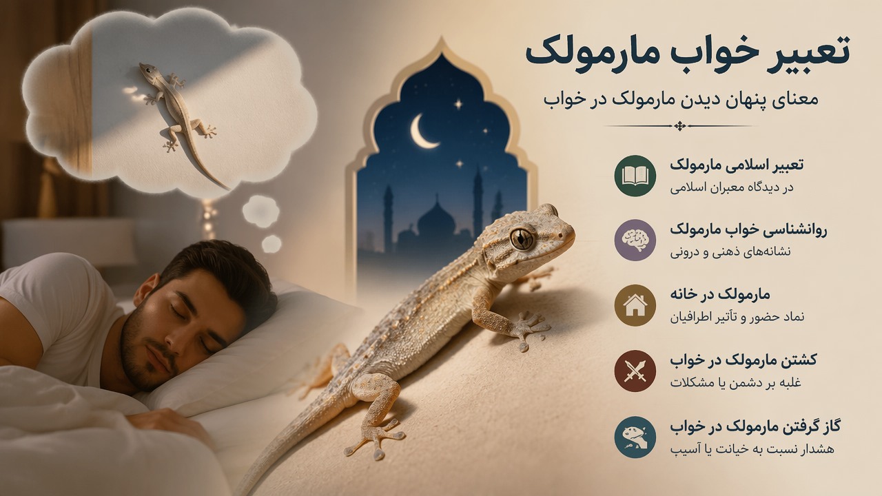 تعبیر خواب مارمولک, معنای خواب مارمولک, مارمولک در خواب, تعبیر اسلامی مارمولک, روانشناسی خواب مارمولک, مارمولک در خانه, کشتن مارمولک در خواب, گاز گرفتن مارمولک در خواب, 