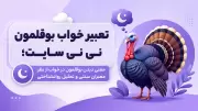 تعبیر خواب بوقلمون نی نی سایت؛ معنی دیدن بوقلمون در خواب از نظر معبران سنتی و تحلیل روانشناختی