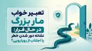 تعبیر خواب مار بزرگ در حال فرار: نشانه دور شدن خطر یا اجتناب از رویارویی؟